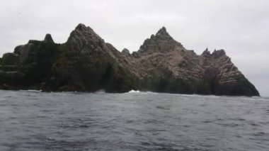 Martı Adası - Skellig Adaları İrlanda - ev 70000 kuşlar için