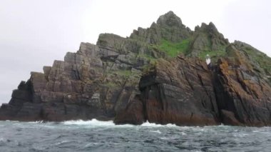 Skellig Michael - İrlanda güzel küçük ada - ünlü film loacation Skelligs