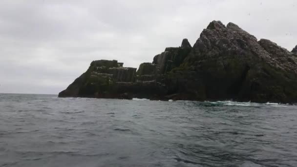 Puffin Island - wyspy Skellig w Irlandii - dom dla ptaków 70000 — Wideo stockowe