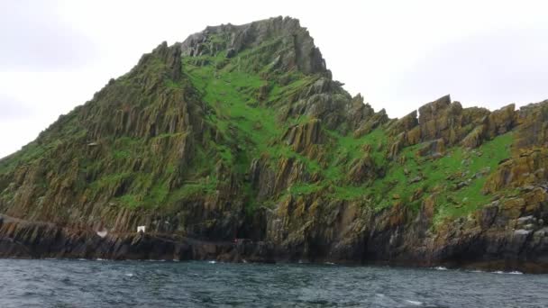 爱尔兰令人敬畏和著名的 Skellig 群岛-Skellig 迈克尔 — 图库视频影像