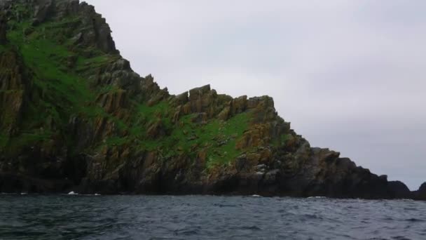 Skellig Michael - piękne mała wyspa w Irlandii – słynny film schludnie w Skelligs — Wideo stockowe