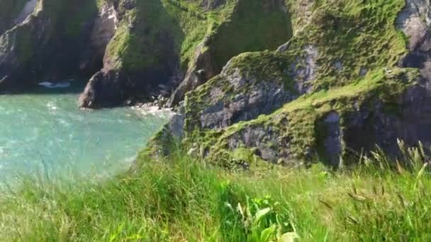 Dingle 반도-멋진 풍경에서 놀라운 절벽 — 비디오