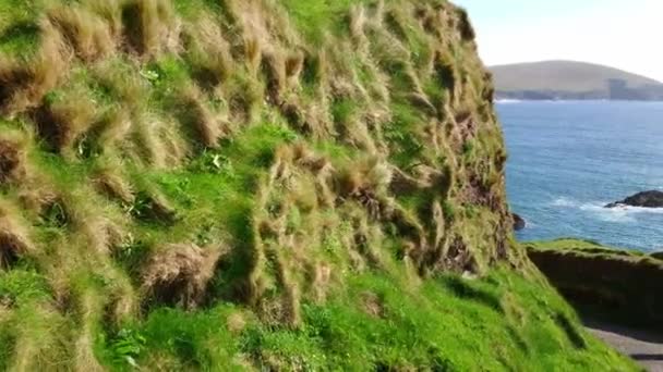 Krásné Dunquin molo v Dingle Peninsula za slunečného dne — Stock video