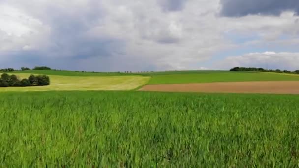 Воздушный полет над полями в сельской местности - сельское хозяйство — стоковое видео