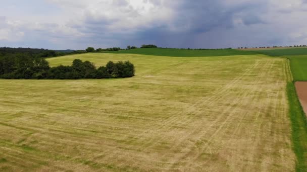 Vol aérien au-dessus des champs à la campagne - agriculture — Video