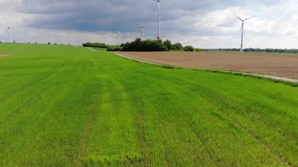 De schoonheid van de natuur above - luchtfoto vlucht over brede velden in het land — Stockvideo