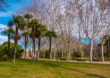 Beuatiful park Madrid Debod Tapınağı'nda