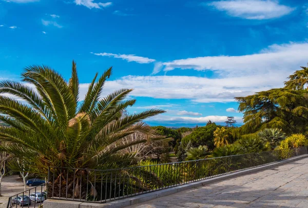 Beuatiful park Madrid Debod Tapınağı'nda