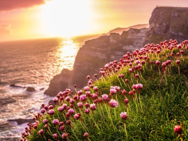 İrlanda - Kerry gün batımı görünümü şaşırtıcı kayalıklarla