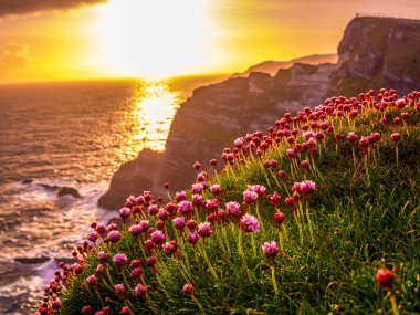 İrlanda - Kerry gün batımı görünümü şaşırtıcı kayalıklarla