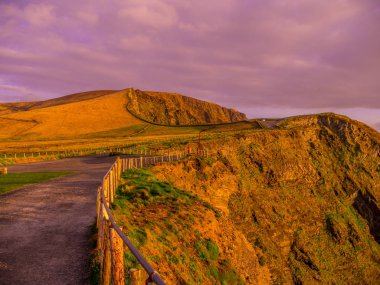 Büyük İrlanda Kerry kayalıklarla, yürür