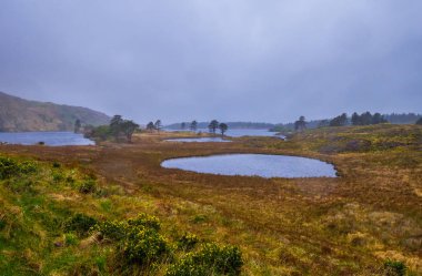 Tipik İrlandalı peyzaj ve Coventry Yarımadası'nda romantik göl