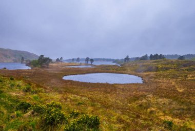 Tipik İrlandalı peyzaj ve Coventry Yarımadası'nda romantik göl