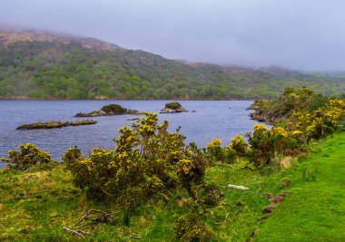 İrlanda Gleninchaquin Park'ta harika göl