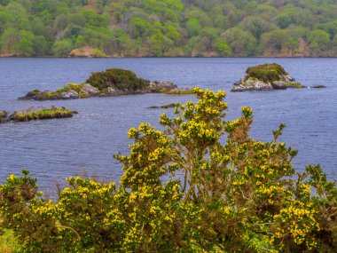 İrlanda Gleninchaquin Park'ta harika göl