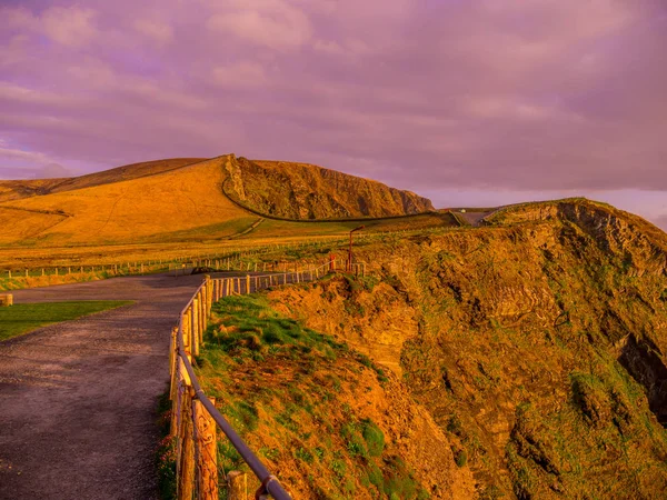 Büyük İrlanda Kerry kayalıklarla, yürür
