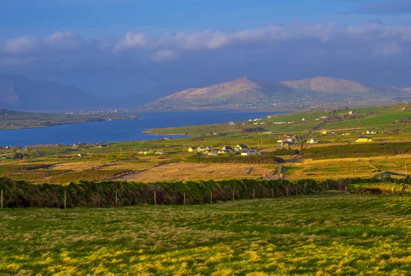 Wunderschönes grasland und landschaft im irland von kerry — Stockfoto