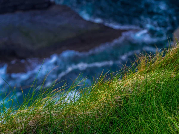 Prairies aux falaises du Kerry — Photo