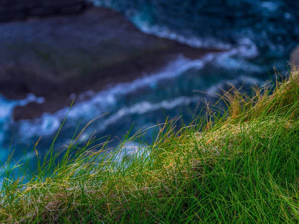 Grasland an den Klippen von Kerry — Stockfoto