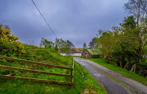 Typisch irische Landschaft auf der Halbinsel Beara — Stockfoto