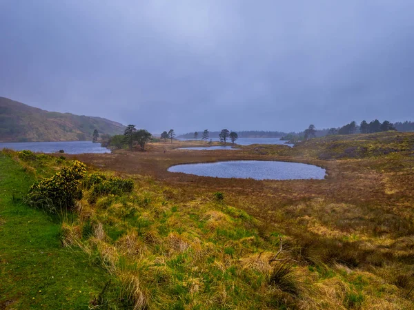 Tipik İrlandalı peyzaj ve Coventry Yarımadası'nda romantik göl