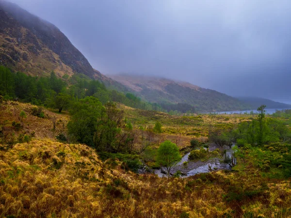 Fantastiska irländska landskap vid Bearahalvön i Irland — Stockfoto