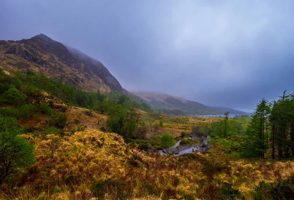 Fantastiska irländska landskap vid Bearahalvön i Irland — Stockfoto