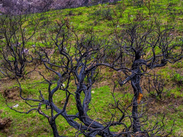 Wild nature at Gleninchaquin Park in Ireland — Stock Photo, Image