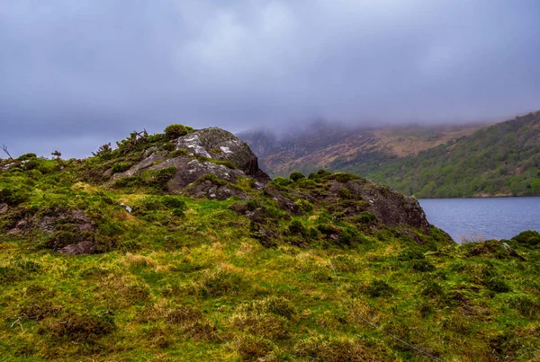 İrlanda Gleninchaquin Park'ta vahşi doğa