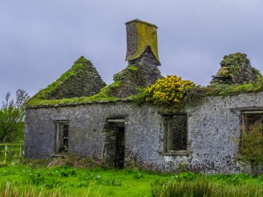 İrlandalı bir taş ev - İrlanda tipik görünümü güzel harabe