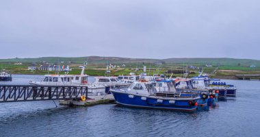 Portmagee Harbor İrlanda tekneleri