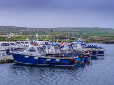 Portmagee Harbor İrlanda tekneleri