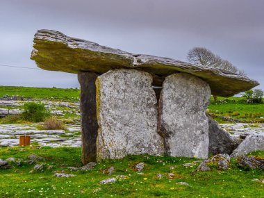 Ünlü Poulnabrone Dolmen mezar İrlanda Burren