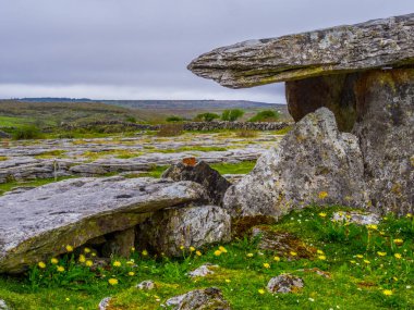 Ünlü Poulnabrone Dolmen mezar İrlanda Burren