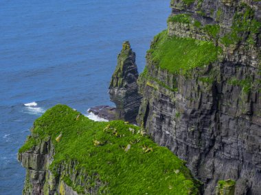 Dünya ünlü Cliffs, Moher İrlanda'nın Atlantik kıyısında