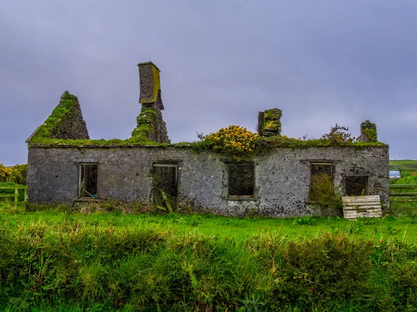 Schöne Ruine eines irischen Steinhauses - typische Aussicht in Irland — Stockfoto