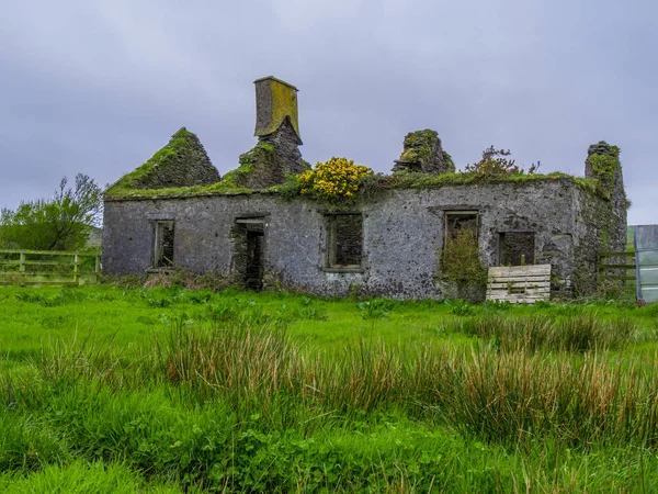 İrlandalı bir taş ev - İrlanda tipik görünümü güzel harabe