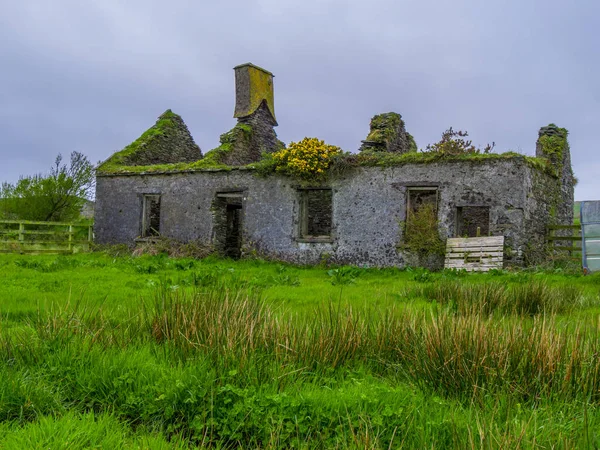 Руин ирландского каменного дома - типичный вид Ирландии — стоковое фото