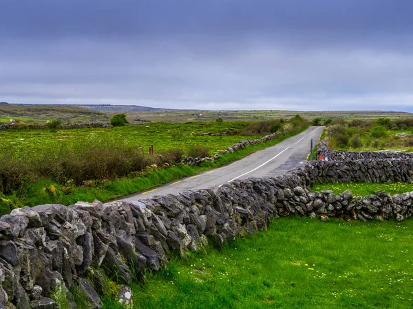 Typische Ierse weg door de natuur — Stockfoto