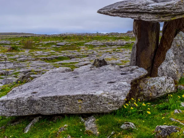 爱尔兰科伊尔芬诺拉村布伦著名 Poulnabrone 石棚墓 — 图库照片
