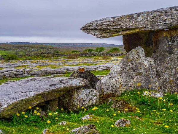 Ünlü Poulnabrone Dolmen mezar İrlanda Burren