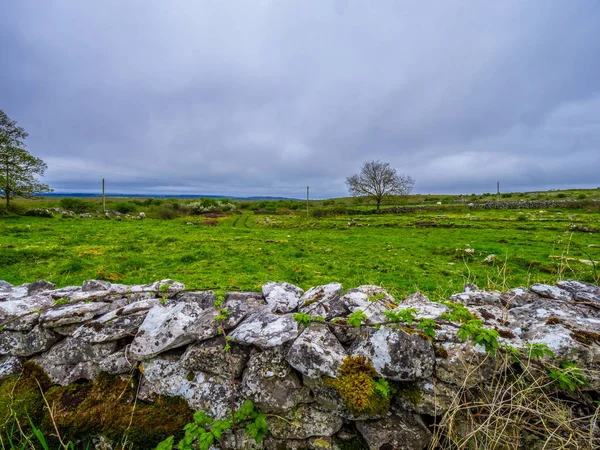 Stenen muur en de oude kerk ruïne in Ierland — Stockfoto