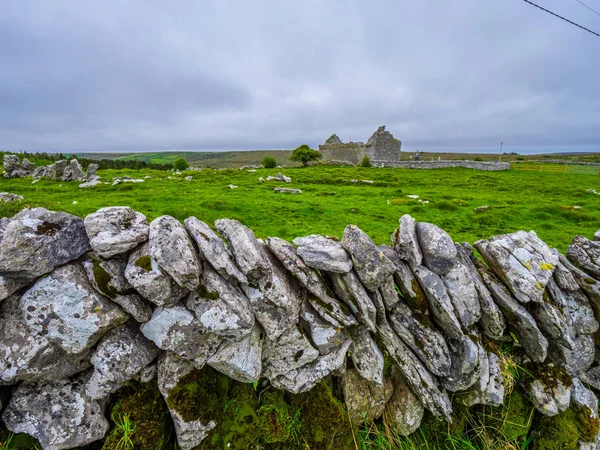 Steinmauer und alte Kirchenruine in Irland — Stockfoto