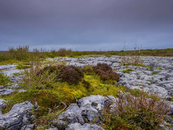 Kayalık zemin ve tuhaf taş Burren İrlanda