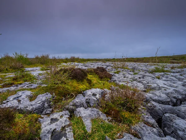 El suelo rocoso y las piedras extrañas en la Irlanda de Burren —  Fotos de Stock