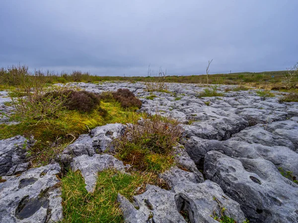 El suelo rocoso y las piedras extrañas en la Irlanda de Burren —  Fotos de Stock