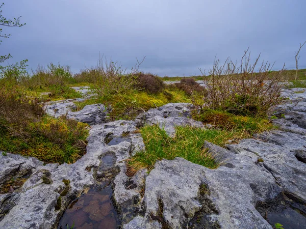 Na kamenité půdě a bizarní kameny na Irsko Burren — Stock fotografie