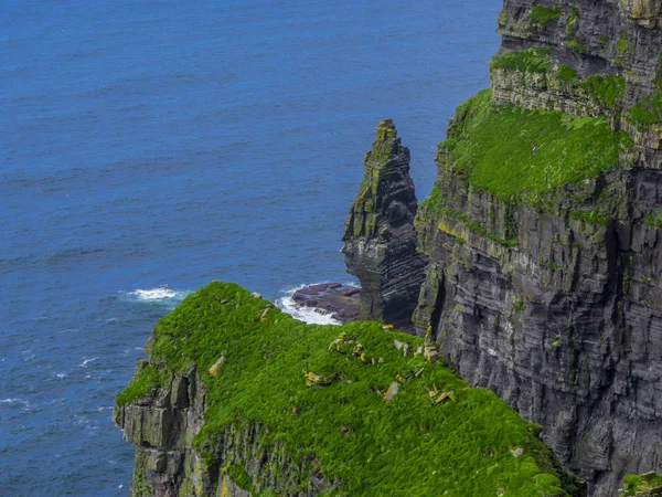 세계 유명한 절벽의 Moher 아일랜드의 대서양 연안에 — 스톡 사진