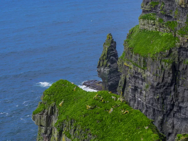 세계 유명한 절벽의 Moher 아일랜드의 대서양 연안에 — 스톡 사진