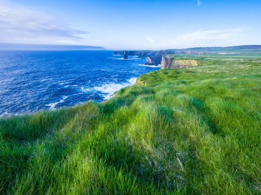 İrlanda Kilkee Cliffs, otlaklar